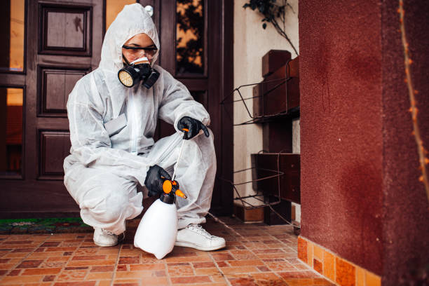 Reliable Ant Control contractor in Accokeek, MD by Show Me Pest Control